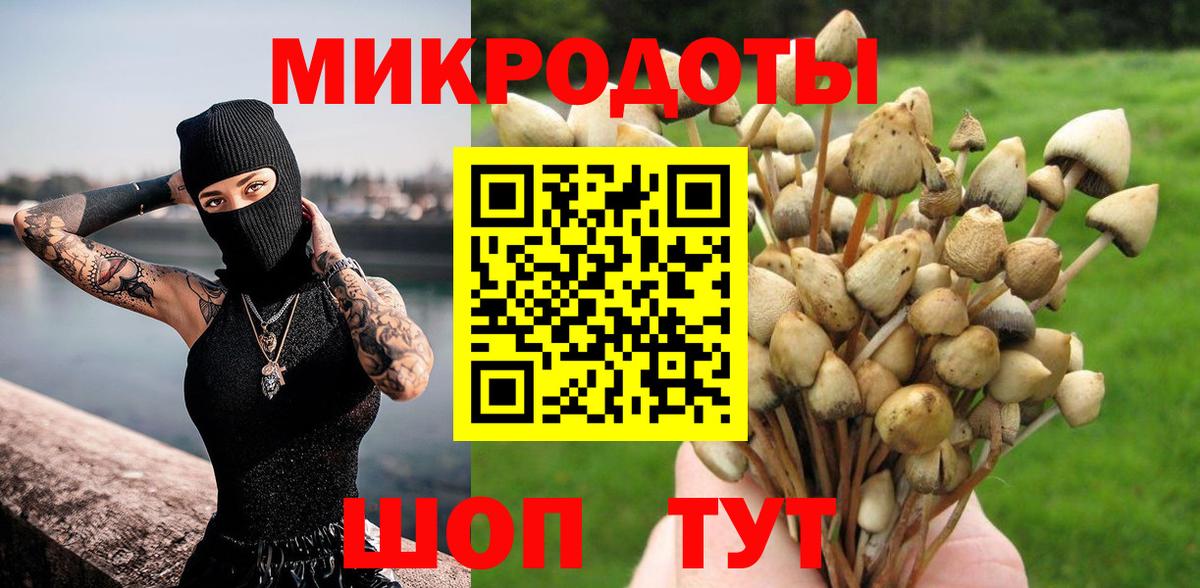 Соль-Илецк  Псилоцибиновые грибы ЛСД  Вход с VPN 